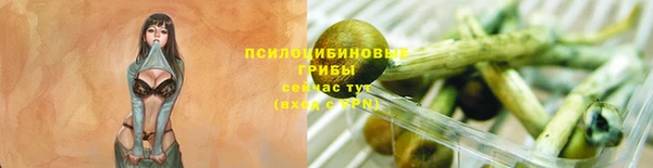 Альфа ПВП Коряжма